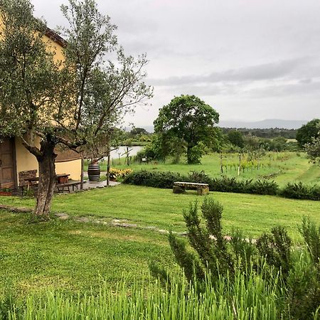 Agriturismo La Posta Reale Castiglion Fibocchi Exterior foto